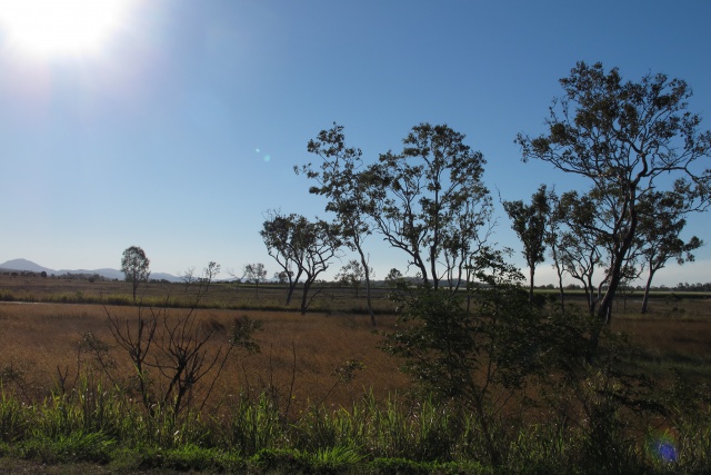 Un paysage typique australien en route vers le parc national Eun…