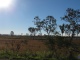 Un paysage typique australien en route vers le parc national Eun…