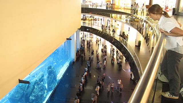 Aquarium géant en plein centre commercial