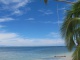 La magnifique plage avec cette balançoire qui fait r&ecir…