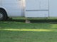 Puis ça ce sont des petits lapins surprises sous les vans…