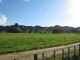 Les paysages vallonnés de la région.