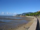 La plage boueuse à marée basse.