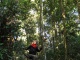 Promenade en forêt une fois notre passion pour les ornitho…