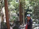 La marche en forêt, c'est sérieux!