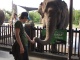 Nous, on se contente de nourrir des éléphants.