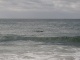 On observe loooongtemps les dauphins sans s'en lasser.
