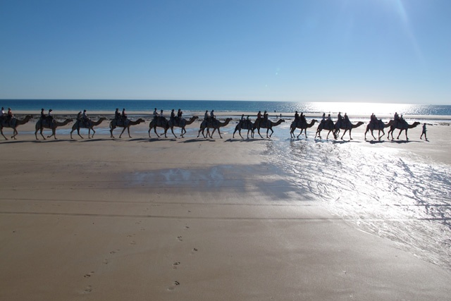 La promenade en chameau sur la plage est une activité inc…