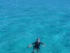 On se met à l'eau pour aller nager avec les raies mantas!