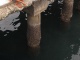 On se rend au port où on observe avec intérê…