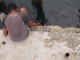 Un petit morceau de bambou sur lequel est enroulé du fil …