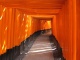 Le sanctuaire comporte des milliers de torii (portail tradi…