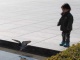L'émotion est palpable dans le Hiroshima Peace Memor…